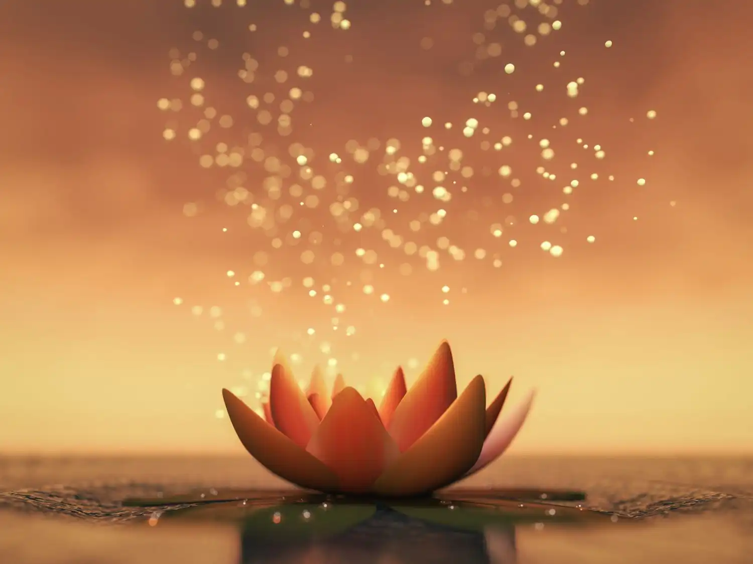 Lotus